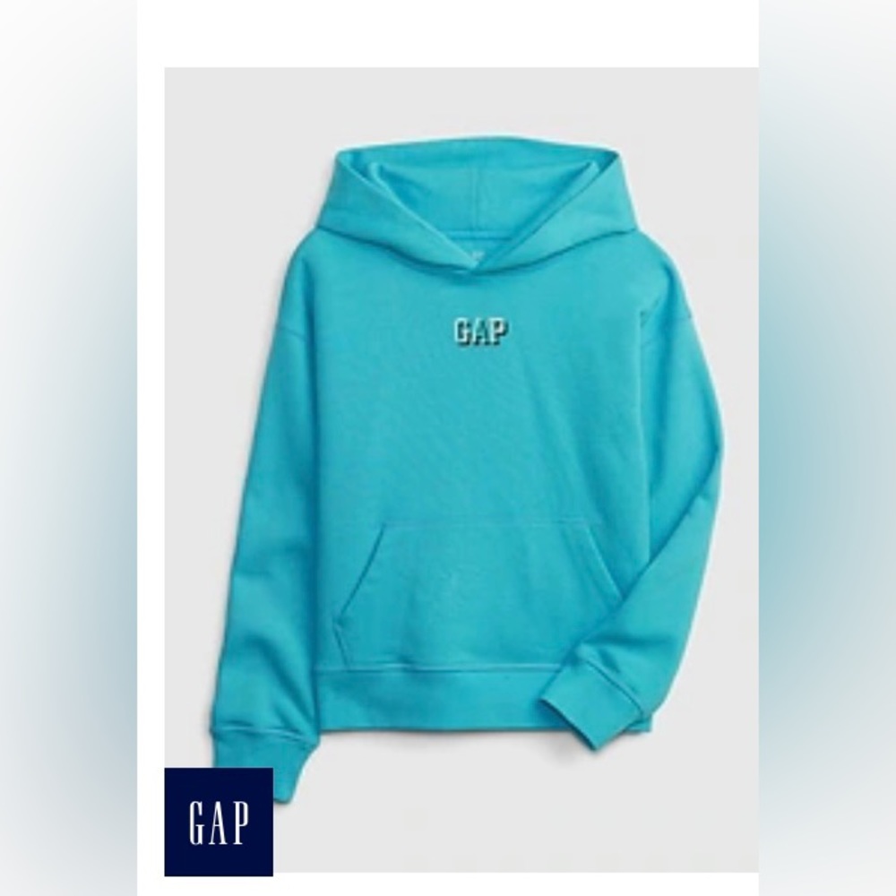 Kids Gap Logo Pullover Hoodie